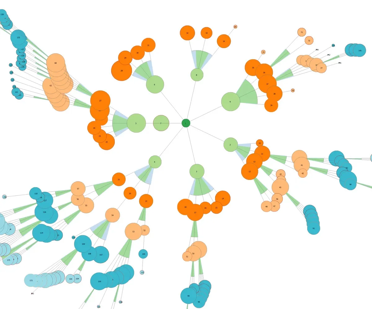 visualisation et infographie de cocon sémantique